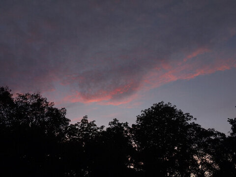 夕陽
