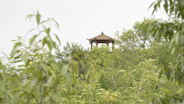 北京昌平獼猴桃谷