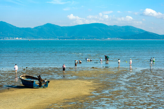 海陵島趕海