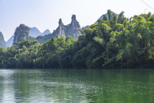河岸竹林