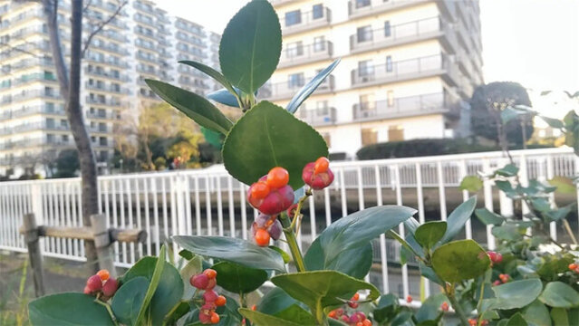 小鎮(zhèn)