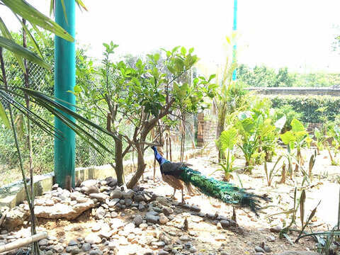 平南動物園