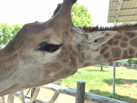 平南動物園