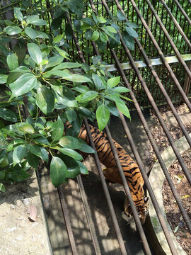 平南動物園