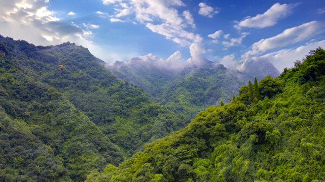 高山丘壑森林