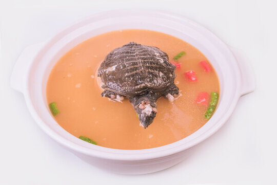 甲魚(yú)湯