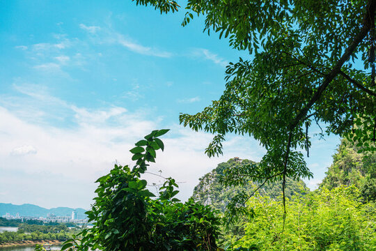 玉屏巖俯瞰風(fēng)景