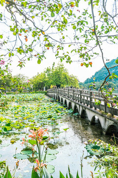紅蓮橋