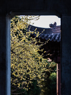 杭州錢王祠