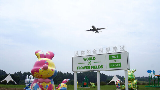 飛機