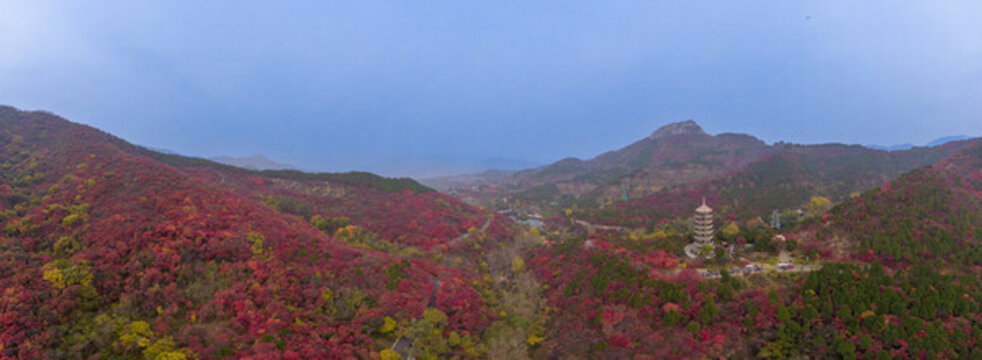 山東濟(jì)南紅葉谷秋天航拍全景