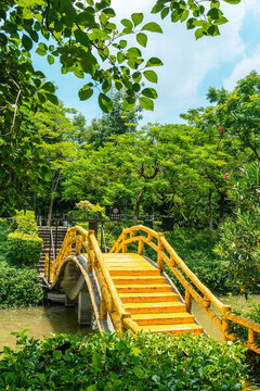 黃色拱橋木橋