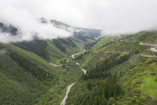 山區(qū)公路云霧