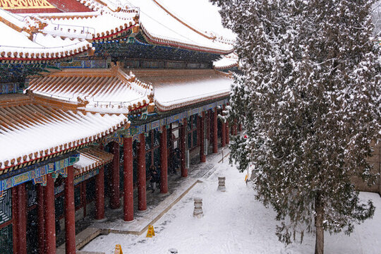 北京頤和園雪景