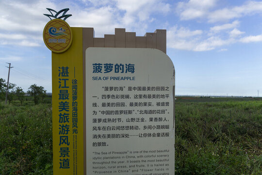 廣東省湛江市徐聞縣菠蘿的海