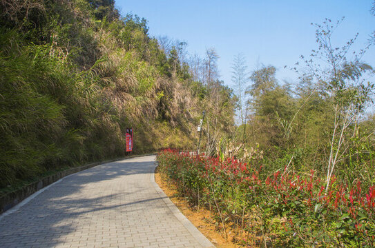 公園水泥地磚道路