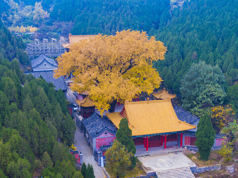 山東濟南淌豆寺秋天航拍