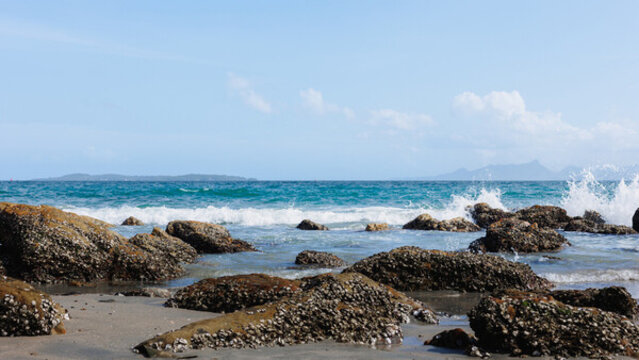 晴日海灘礁石輕浪