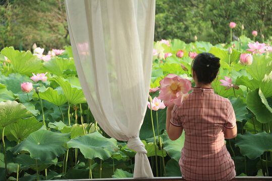 賞荷