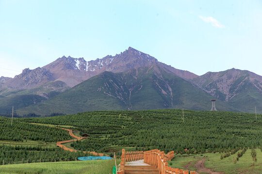 祁連縣牛心山