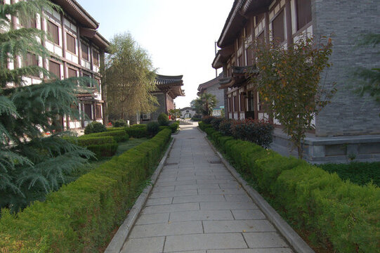 校園風(fēng)景