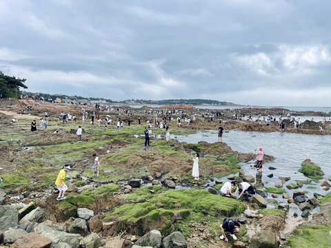 青島趕海
