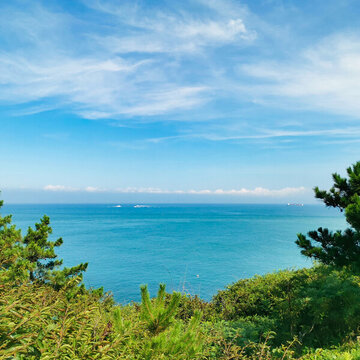 藍(lán)色大海