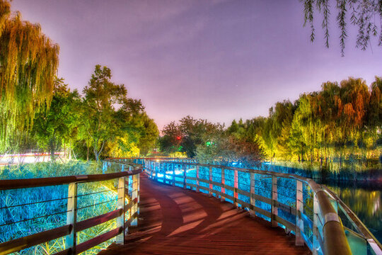 濟(jì)寧蓼河公園夜景