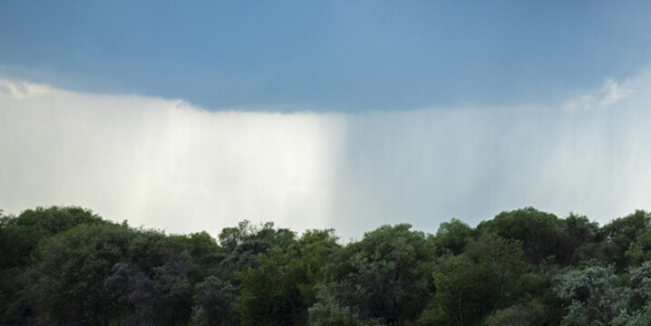 山雨
