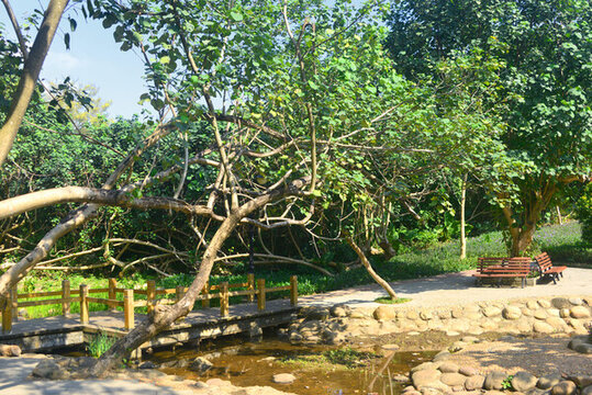 深圳筆架山公園小橋和休息椅