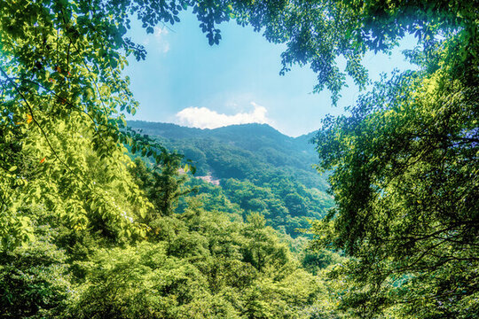 大別山自然風(fēng)景
