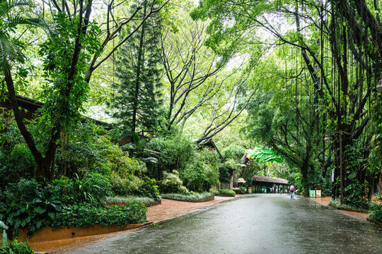 熊貓樂園