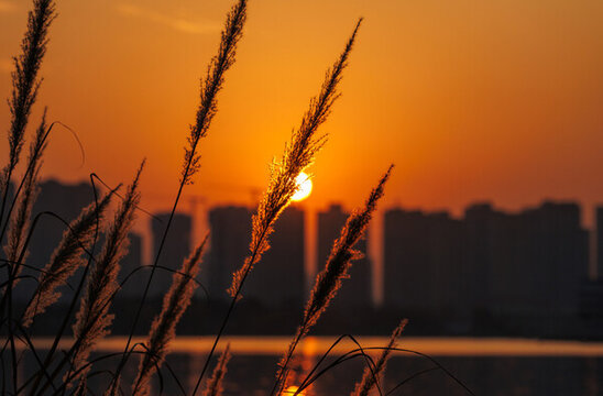 湖邊城市日落風光