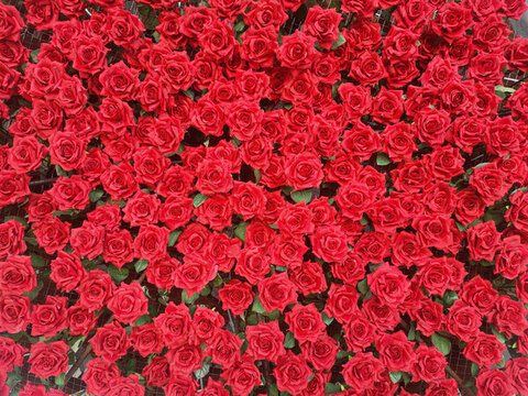 玫瑰花墻