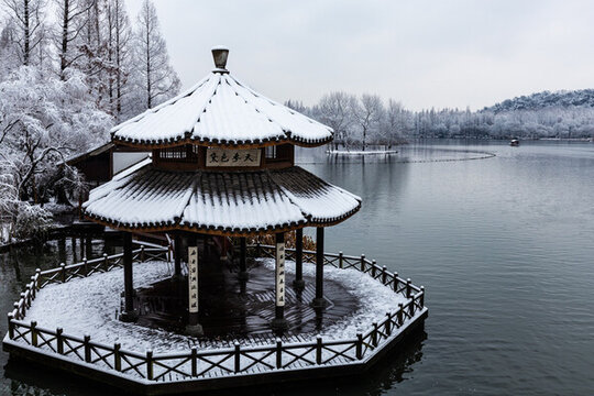 杭州茅家埠雪霽