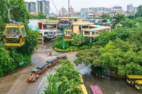 卡通小火車