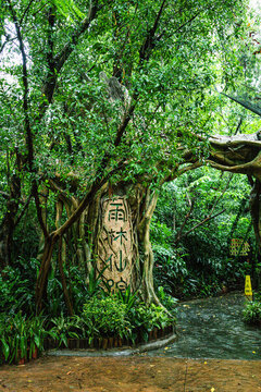 長隆動(dòng)物世界雨林仙蹤