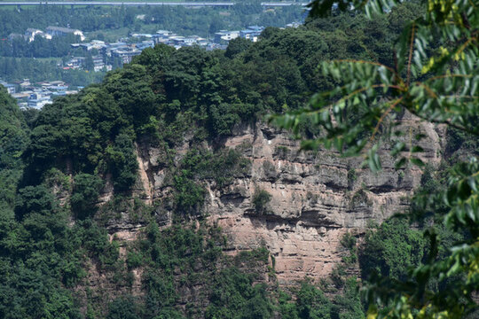 四川青城山問(wèn)道青城山