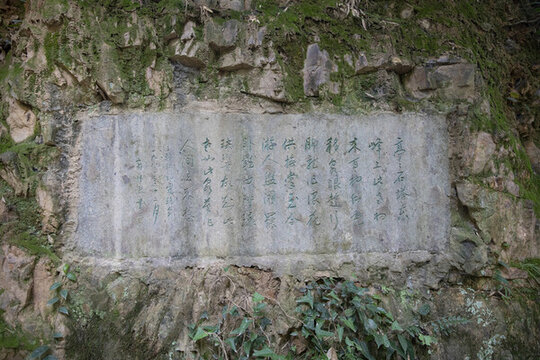 虎移夢(mèng)泉