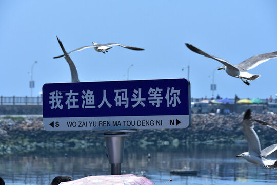 遼寧大連風(fēng)光