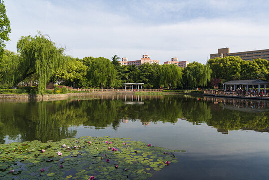 上海嶺南公園