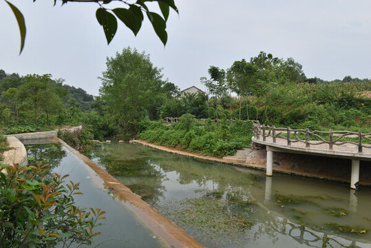 鄉(xiāng)村小河風(fēng)光