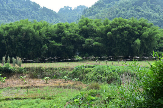 桂林陽朔山水風(fēng)光