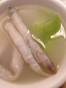 沙蟲(chóng)