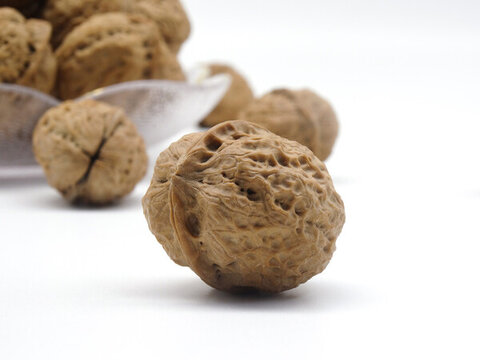 一個核桃細(xì)節(jié)近拍