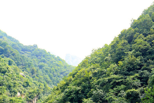 大山風(fēng)光