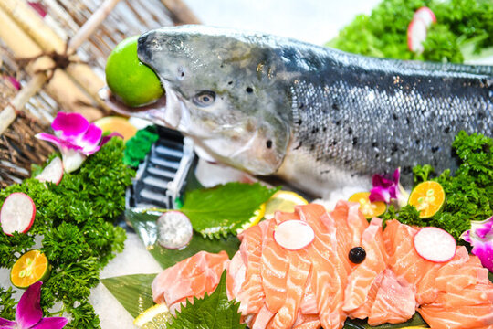 三文魚(yú)