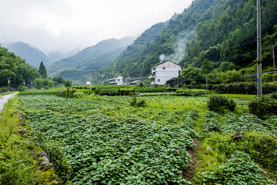 美麗鄉(xiāng)村