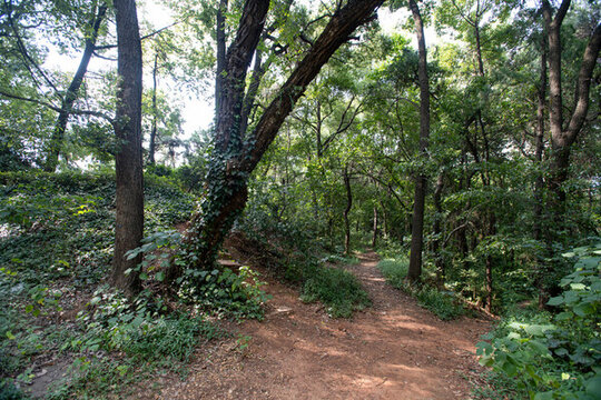 長沙烈士公園的小徑