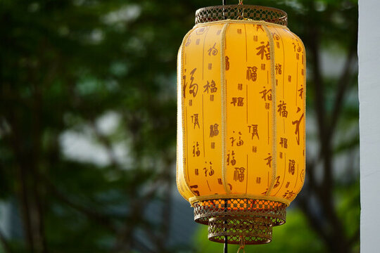 传统文化福字灯笼4